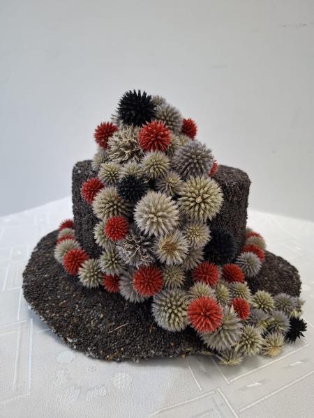 Brawa dla seniorów ze Środy Śląskiej