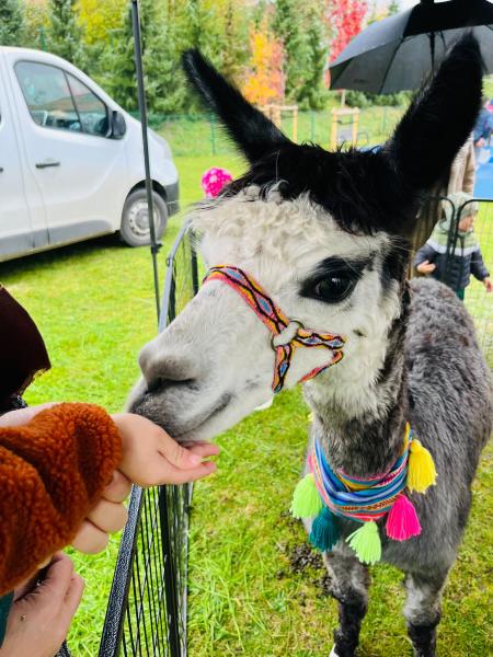 Jesienny Piknik w średzkim żłobku