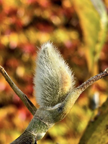 Konkurs fotograficzny