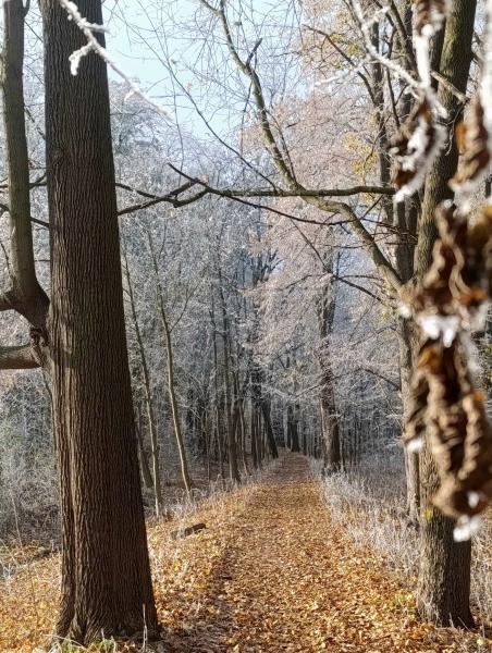 Konkurs fotograficzny