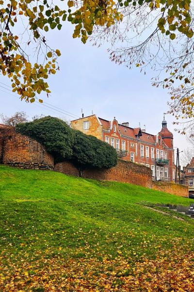 Konkurs fotograficzny