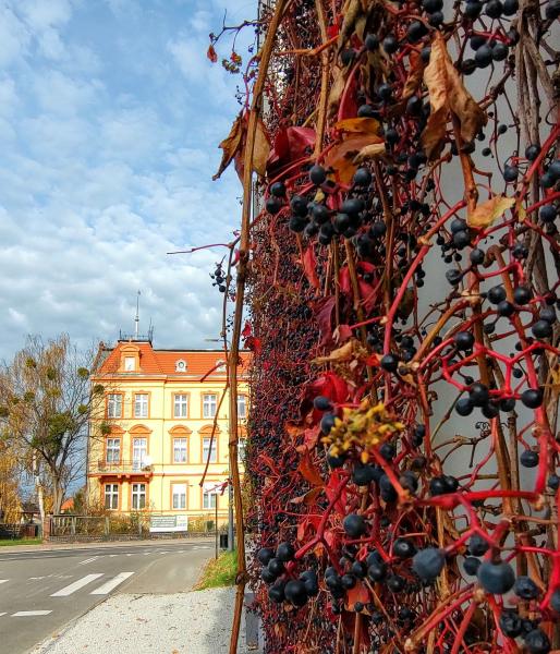 Konkurs fotograficzny