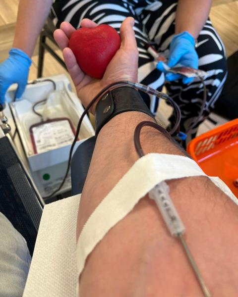 Działania stowarzyszenia "Serce z drugiej ręki"