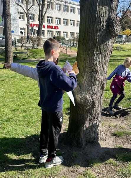 Poszukiwanie kurczaczków