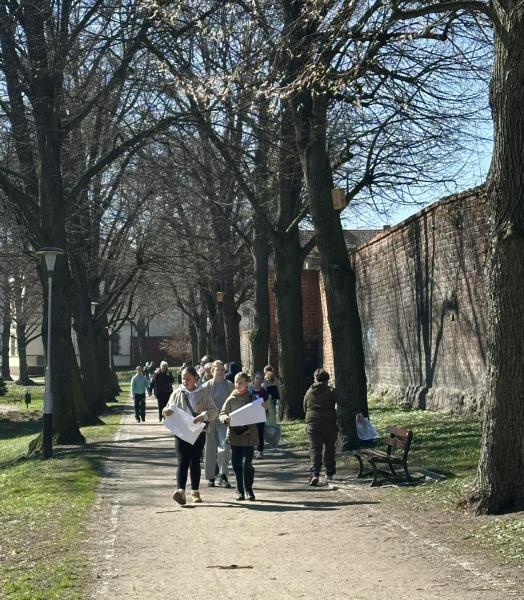 Poszukiwanie kurczaczków