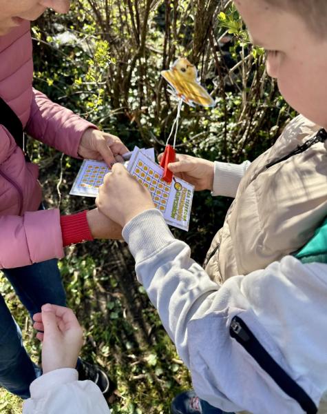 Poszukiwanie kurczaczków