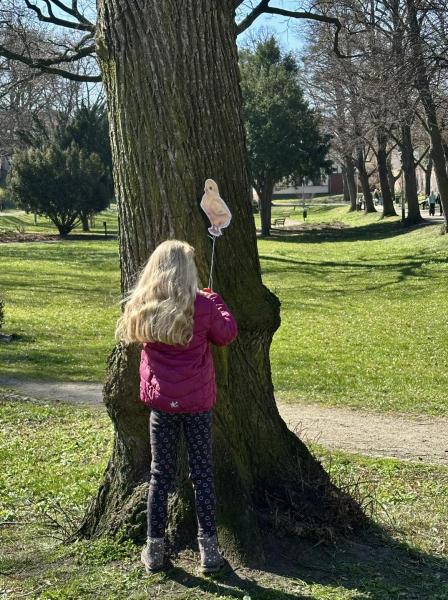 Poszukiwanie kurczaczków