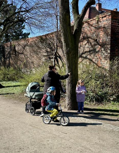 Poszukiwanie kurczaczków