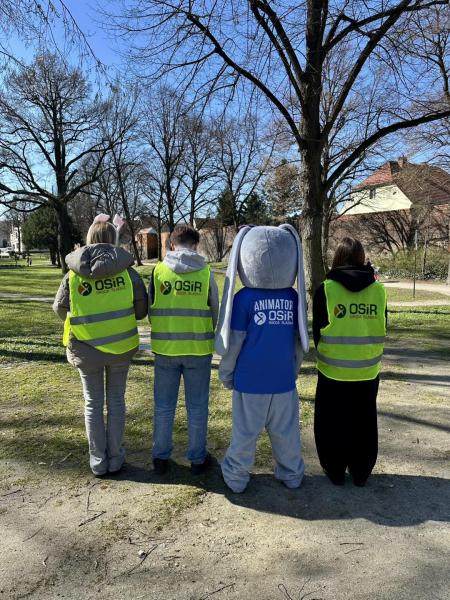 Poszukiwanie kurczaczków