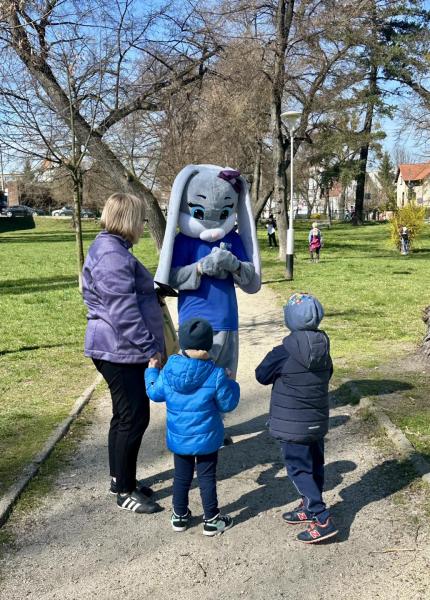 Poszukiwanie kurczaczków