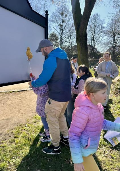 Poszukiwanie kurczaczków