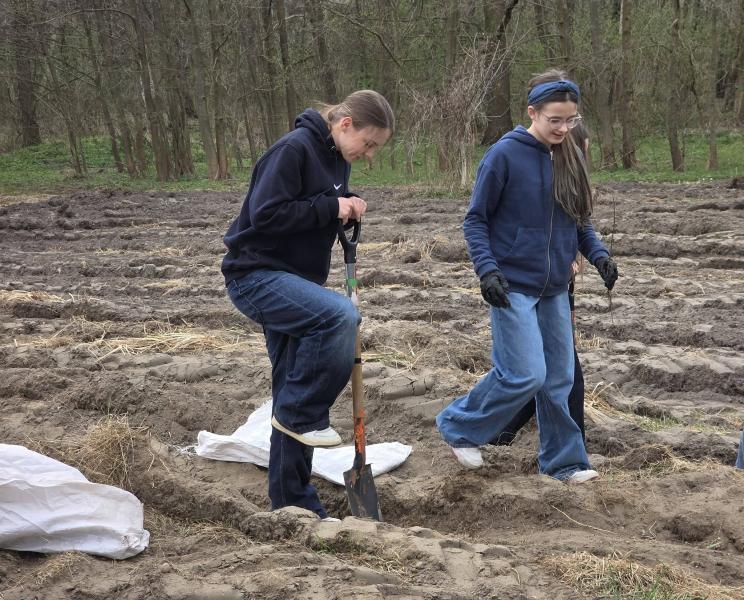 80 drzew na 80-lecie szkoły
