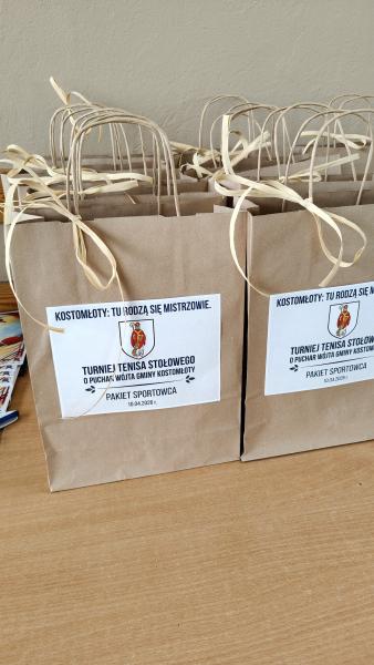 Turniej Tenisa Stołowego o Puchar Wójta Gminy Kostomłoty