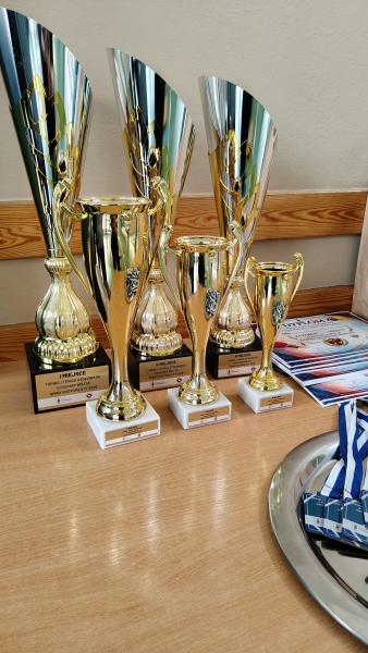 Turniej Tenisa Stołowego o Puchar Wójta Gminy Kostomłoty