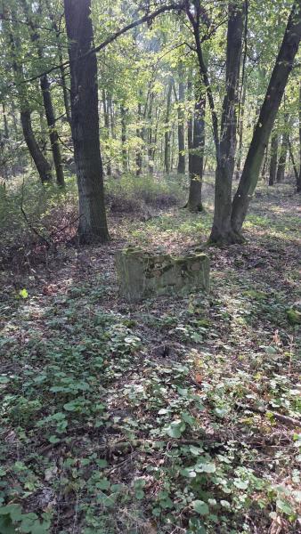 Czy wiecie, ile niezwykłych historii kryje się tuż za rogiem?