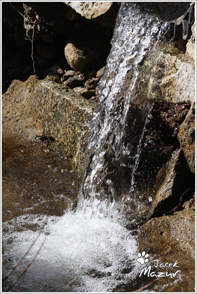 39. Rajd Świdnicki-KRAUSE