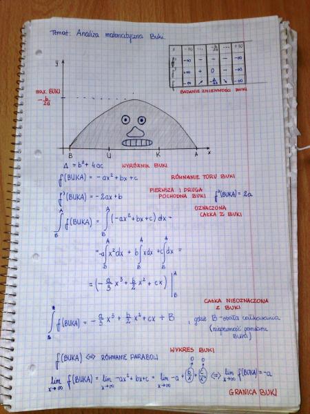 Analiza Buki tylko na wyższych uczelniach!