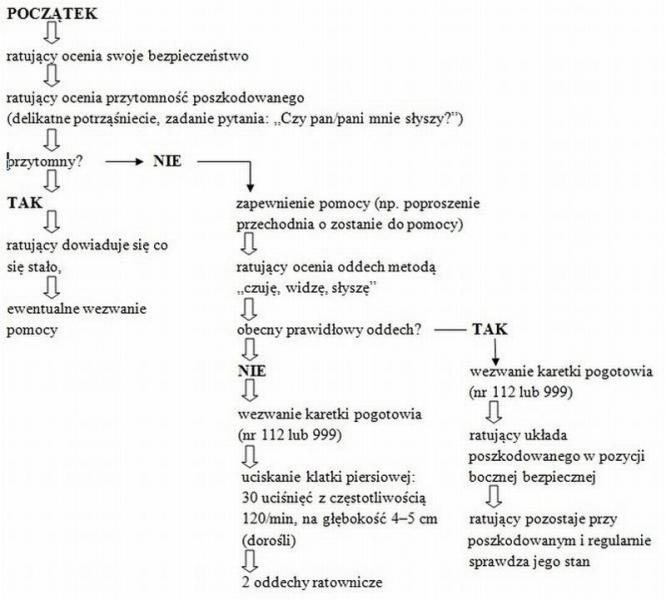 Szkolenie z zakresu udzielania pierwszej pomocy w Lutyni