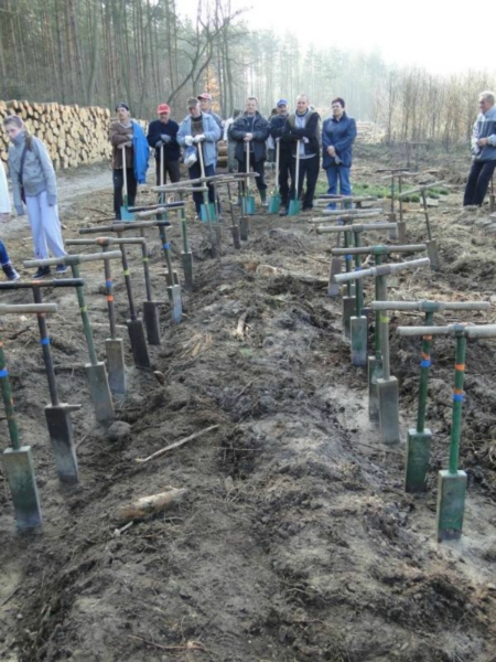 Sadzenie lasu na terenie Leśnictwa Mrozów - kwiecień 2012