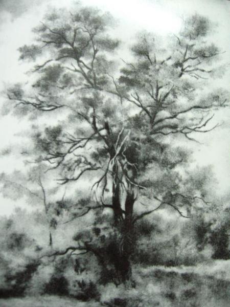 Grafiki z tomiku "Przemijanie" oraz "Przed świtem"