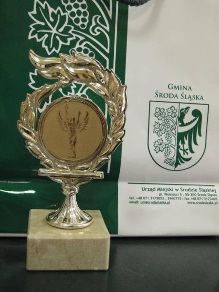 XII Powiatowy Turniej Szachowy - Środa Śląska 2011