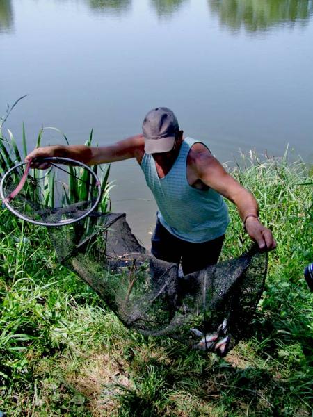 Komisyjne wyciąganie sieci z rybkami