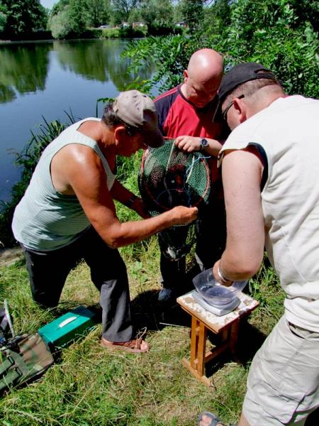 Komisyjne ważenie połowu