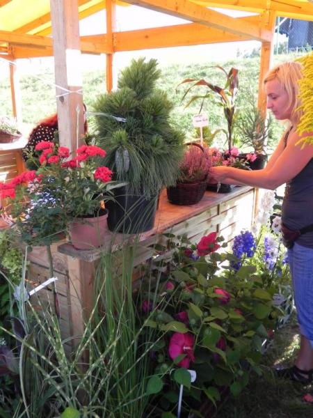 II Festiwal Lata w Miękini