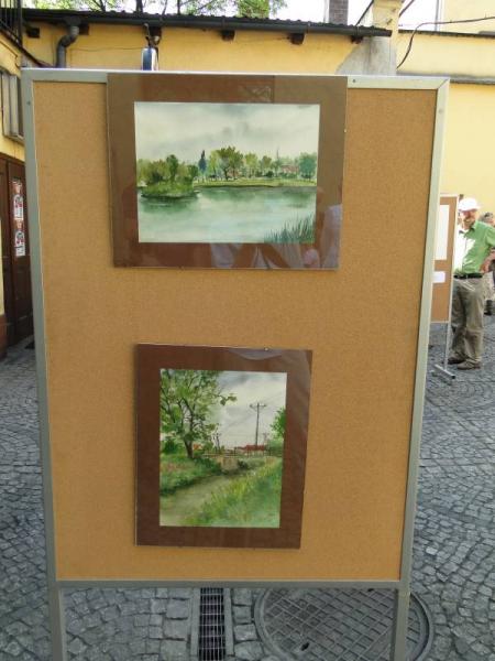 Barwy historii i teraźniejszości - Środa Śląska 2011