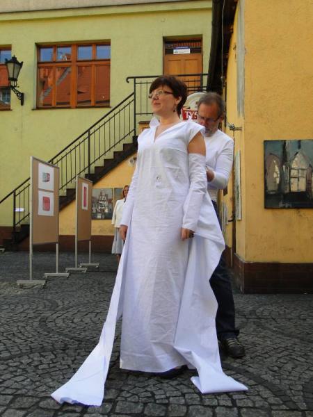 Barwy historii i teraźniejszości - Środa Śląska 2011