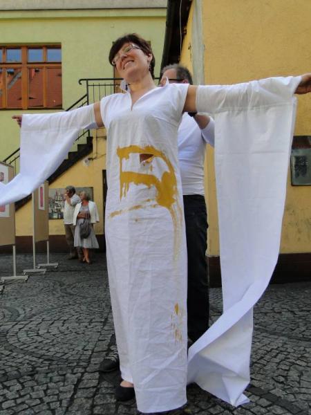 Barwy historii i teraźniejszości - Środa Śląska 2011