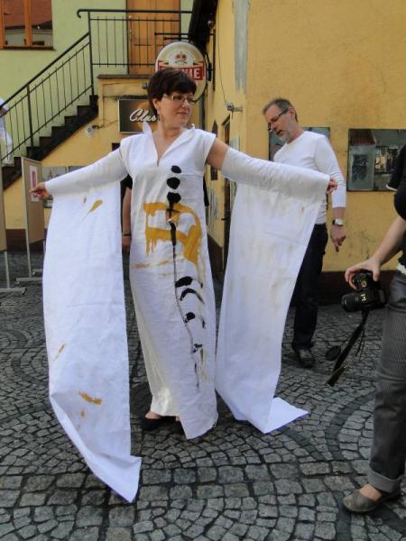 Barwy historii i teraźniejszości - Środa Śląska 2011