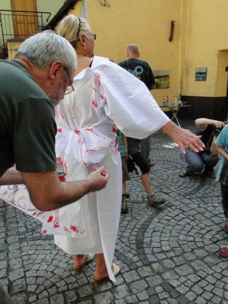 Barwy historii i teraźniejszości - Środa Śląska 2011