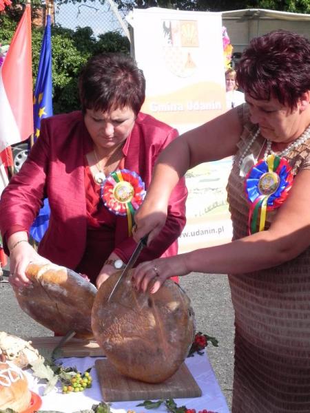 Dożynki Gminne w Udaninie 2011