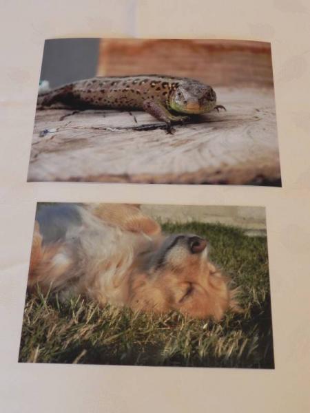 „X konkurs fotograficzny" - Środa Śląska 2010