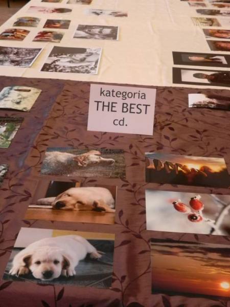 „X konkurs fotograficzny" - Środa Śląska 2010