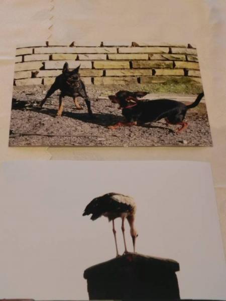 „X konkurs fotograficzny" - Środa Śląska 2010