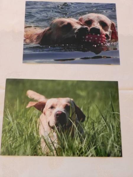 „X konkurs fotograficzny" - Środa Śląska 2010