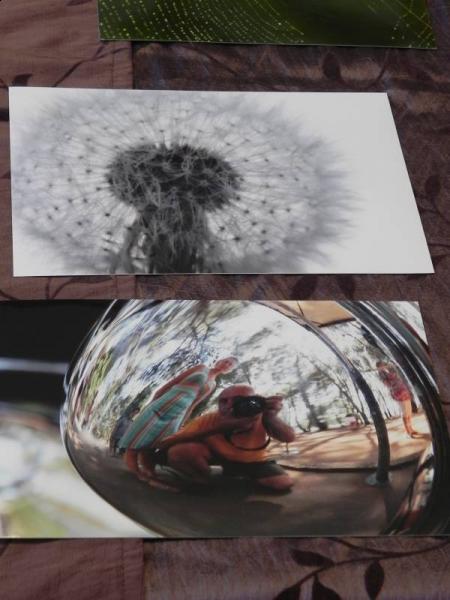 „X konkurs fotograficzny" - Środa Śląska 2010