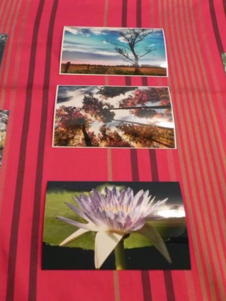 „X konkurs fotograficzny" - Środa Śląska 2010