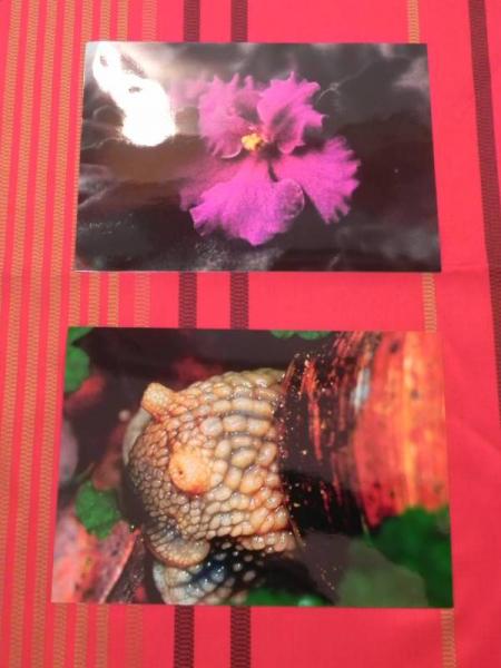 „X konkurs fotograficzny" - Środa Śląska 2010