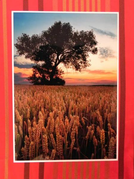 „X konkurs fotograficzny" - Środa Śląska 2010