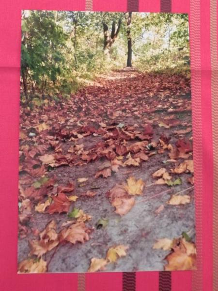 „X konkurs fotograficzny" - Środa Śląska 2010