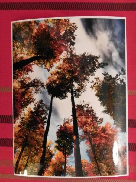 „X konkurs fotograficzny" - Środa Śląska 2010