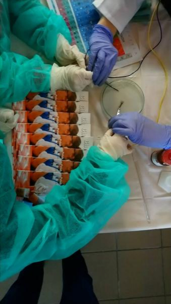 Mikołajki w Juszczynie