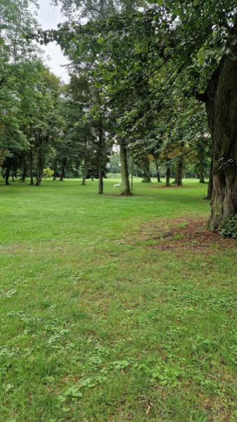 Piknik Integracyjny w Dębicach