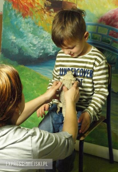 Warsztaty zoologiczne