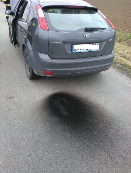 Pożar samochodu między Michałowem, a Ujazdem Górnym