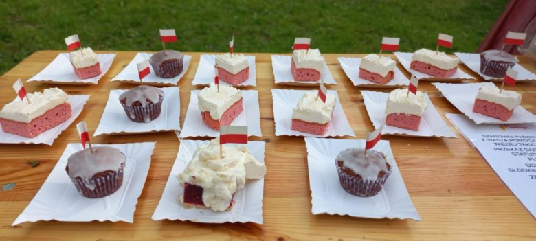 Gra terenowa na Zamku na Wodzie w Wojnowicach