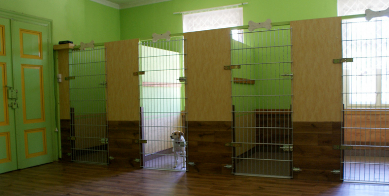 Hotel dla zwierząt "Pankracy"